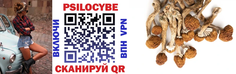 Псилоцибиновые грибы мицелий  Медвежьегорск 